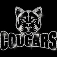 GLT32 SILVER GLITTER Thumbnail