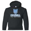 18500B Youth Heavy Blend Hooded Sweatshirt Thumbnail